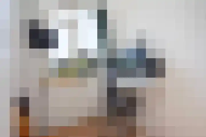 Spinozalaan 283 Voorburg thumbnail 29