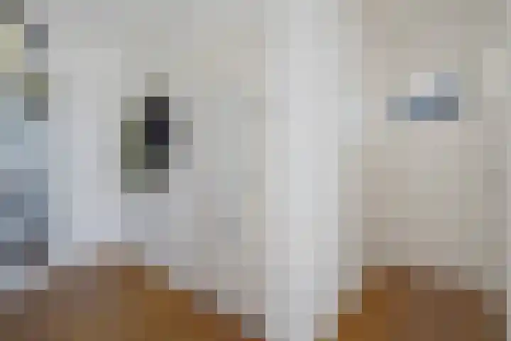 Spinozalaan 283 Voorburg thumbnail 31