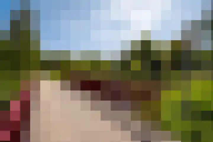 Spinozalaan 283 Voorburg thumbnail 33