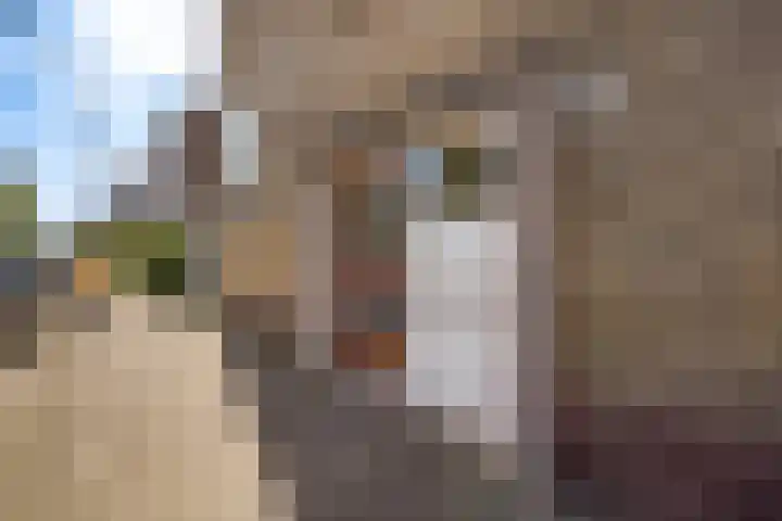 Spinozalaan 283 Voorburg thumbnail 37