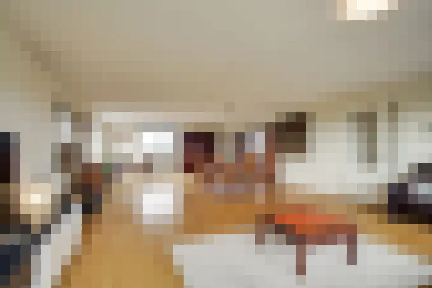 Spinozalaan 36 N Voorburg thumbnail 20