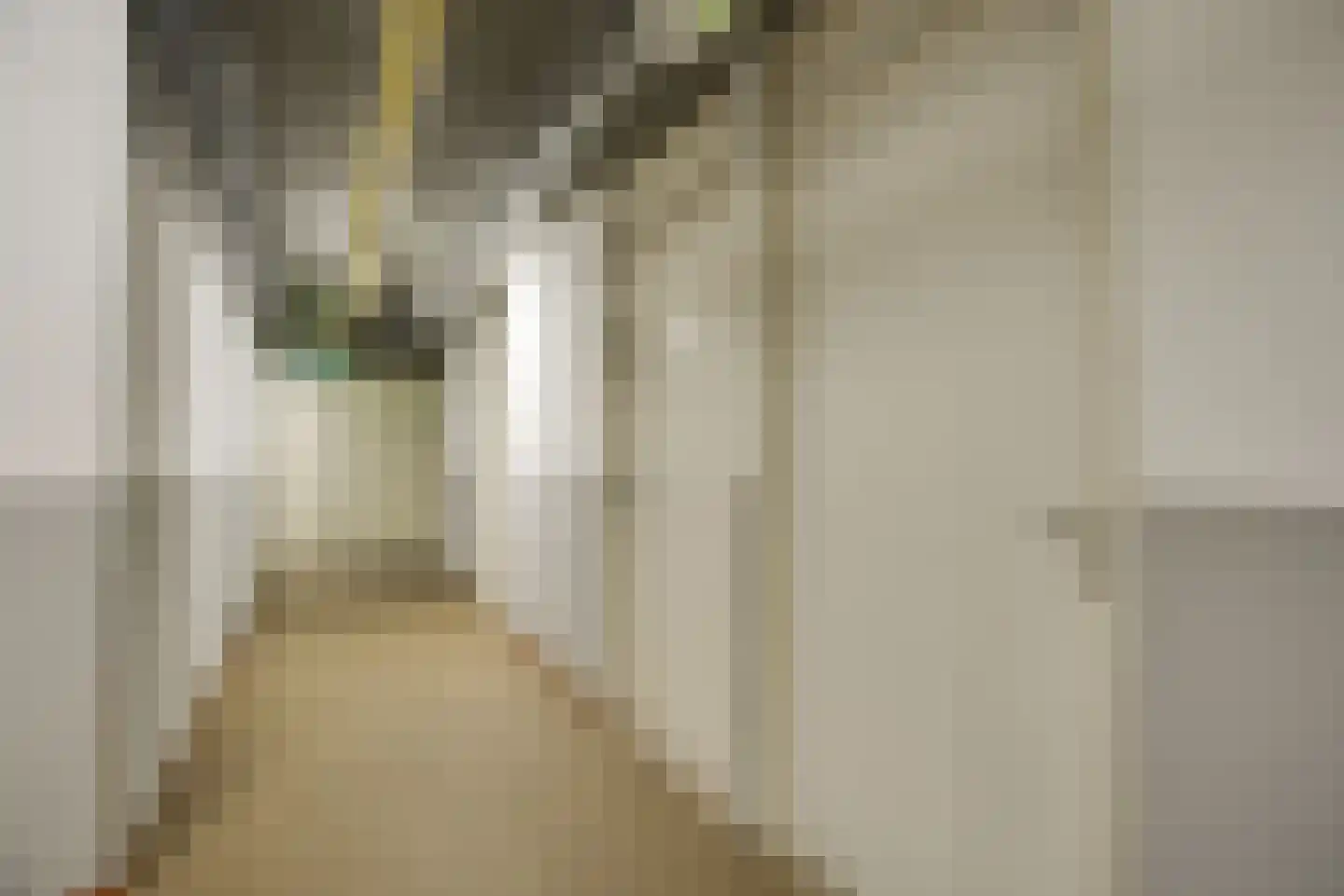 Spinozalaan 36 N Voorburg thumbnail 46