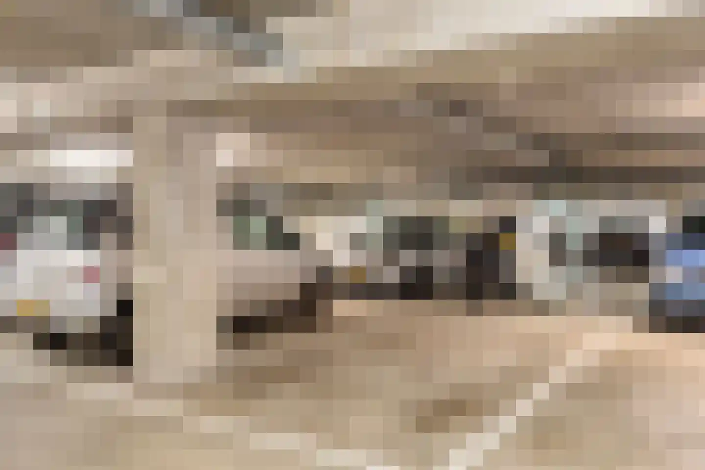 Spinozalaan 37 E Voorburg thumbnail 24