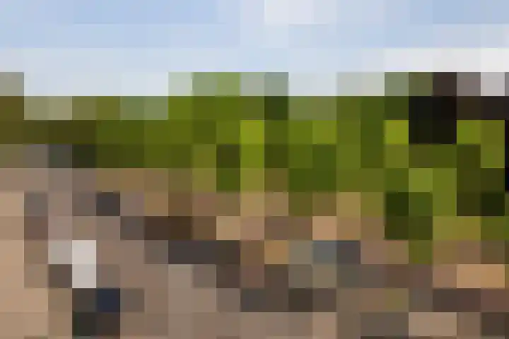 Spinozalaan 37 F Voorburg thumbnail 12