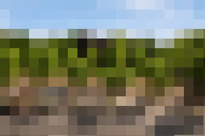 Spinozalaan 37 F Voorburg thumbnail 13