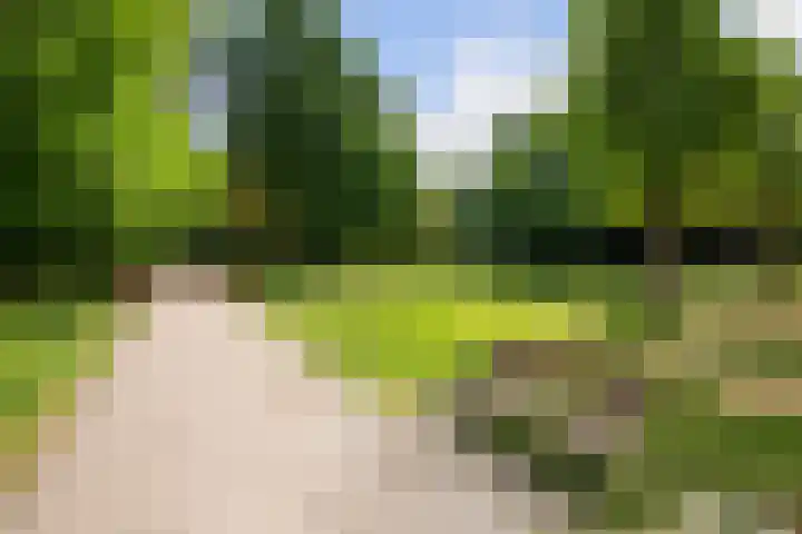 Spinozalaan 37 F Voorburg thumbnail 30