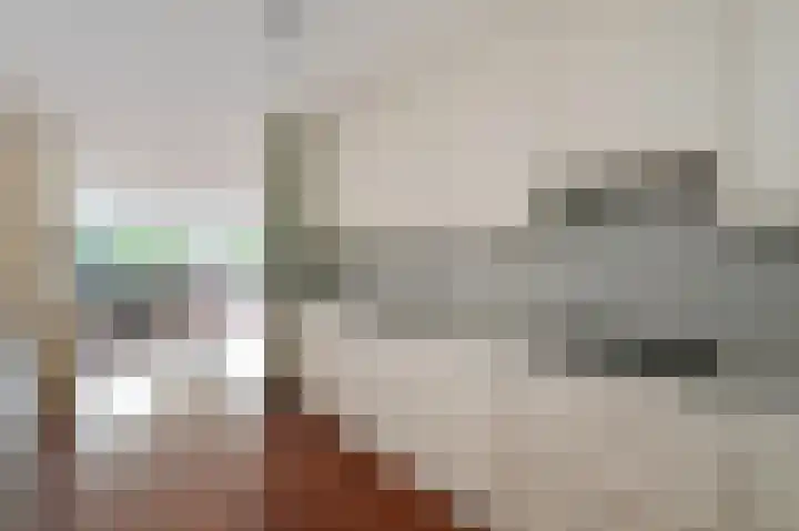 Spinozalaan 38 B Voorburg thumbnail 14