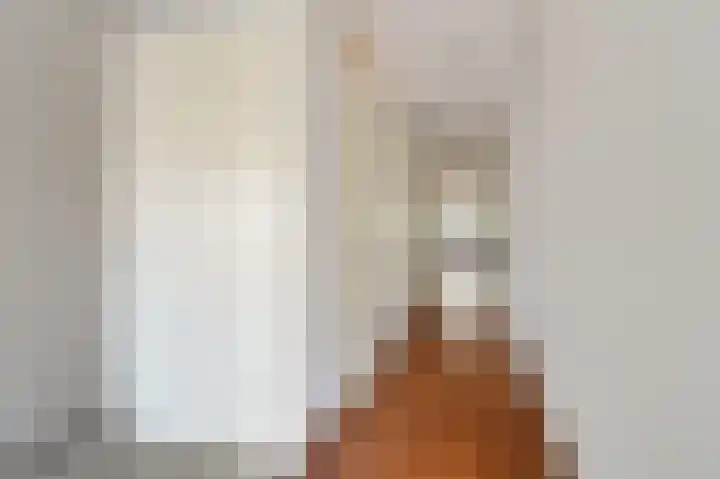 Spinozalaan 38 B Voorburg thumbnail 17