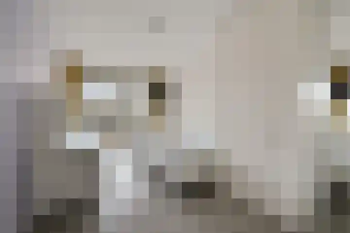 Spinozalaan 38 B Voorburg thumbnail 25