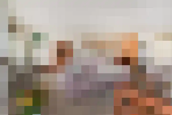 Spinozalaan 38 E Voorburg thumbnail 16