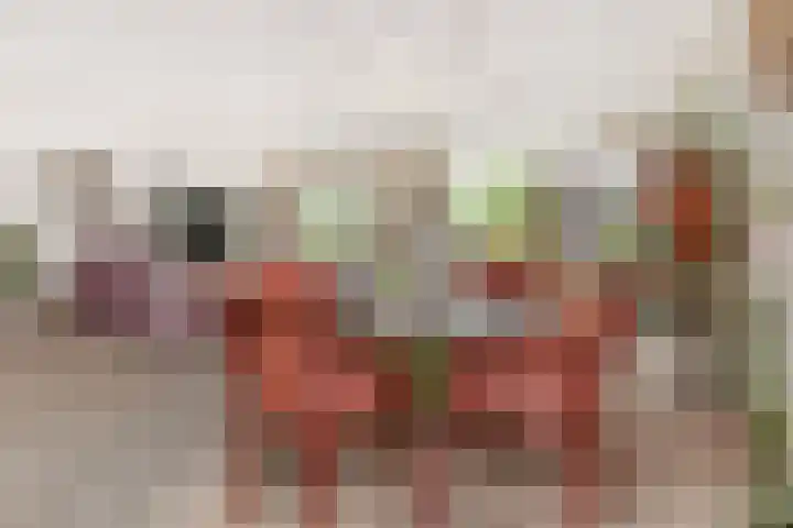 Spinozalaan 38 E Voorburg thumbnail 22