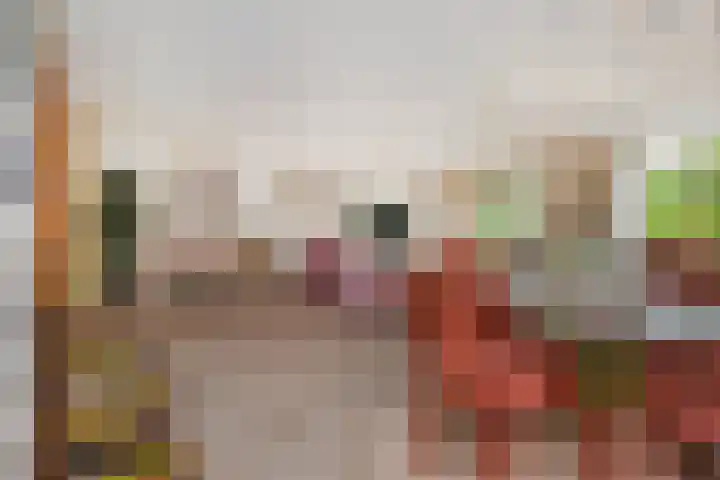 Spinozalaan 38 E Voorburg thumbnail 23