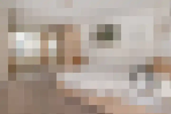 Spinozalaan 38 E Voorburg thumbnail 4