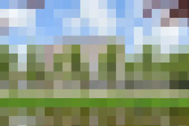 Spinozalaan 38 E Voorburg thumbnail 41
