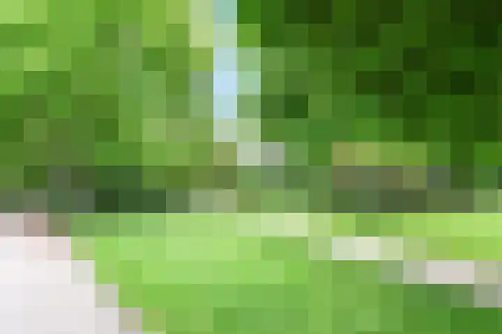 Spinozalaan 38 E Voorburg thumbnail 43