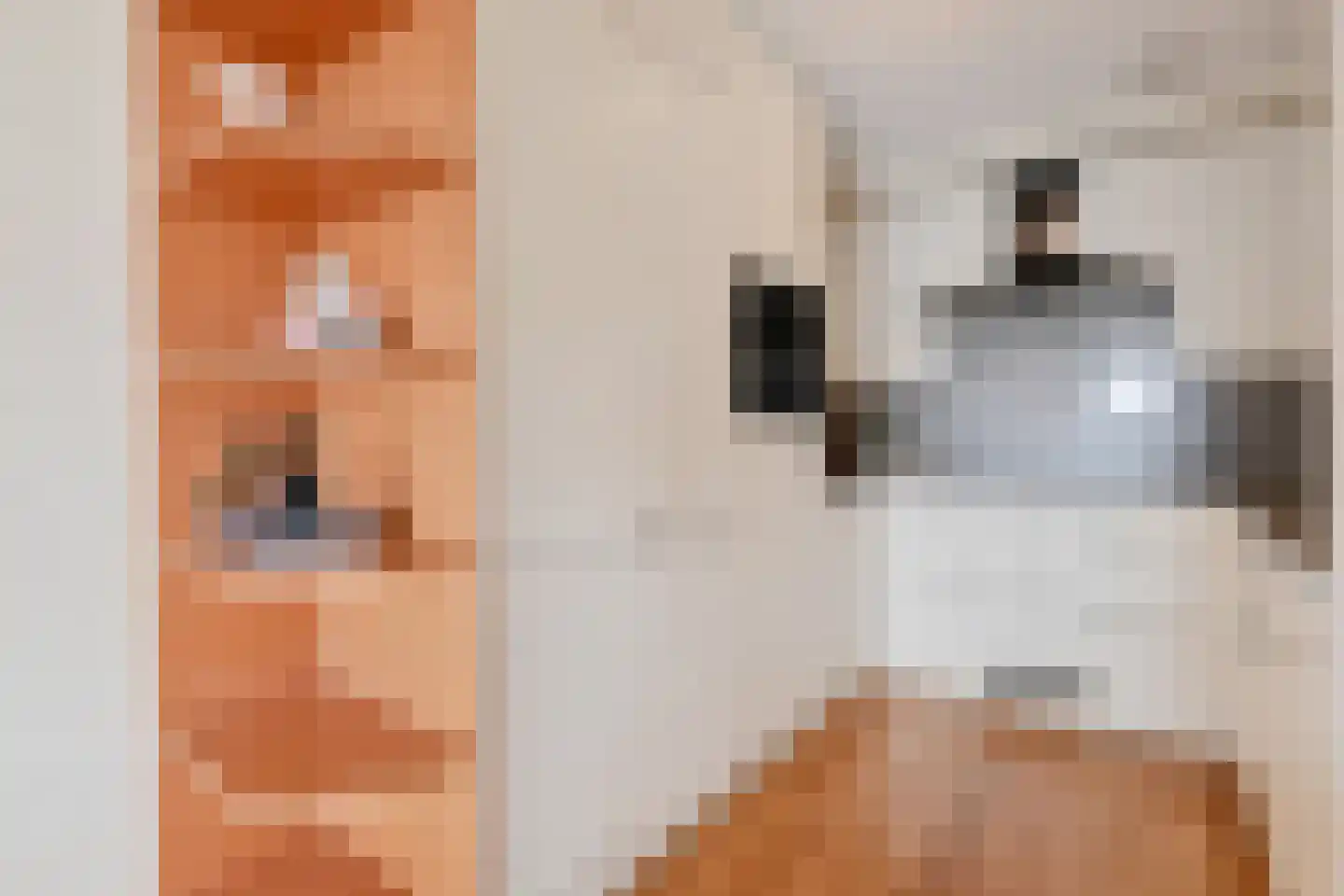Spinozalaan 38 J Voorburg thumbnail 9