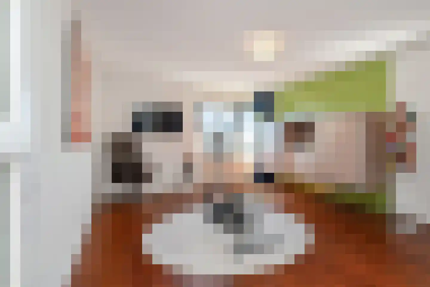 Spinozalaan 38 U Voorburg thumbnail 30