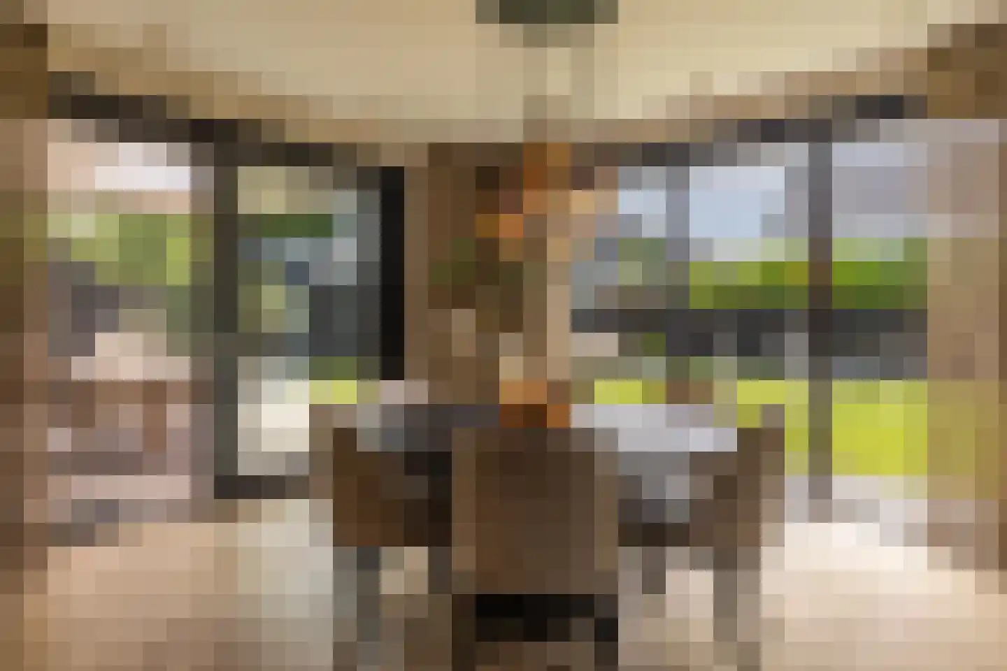 Spinozalaan 6 Almelo thumbnail 10