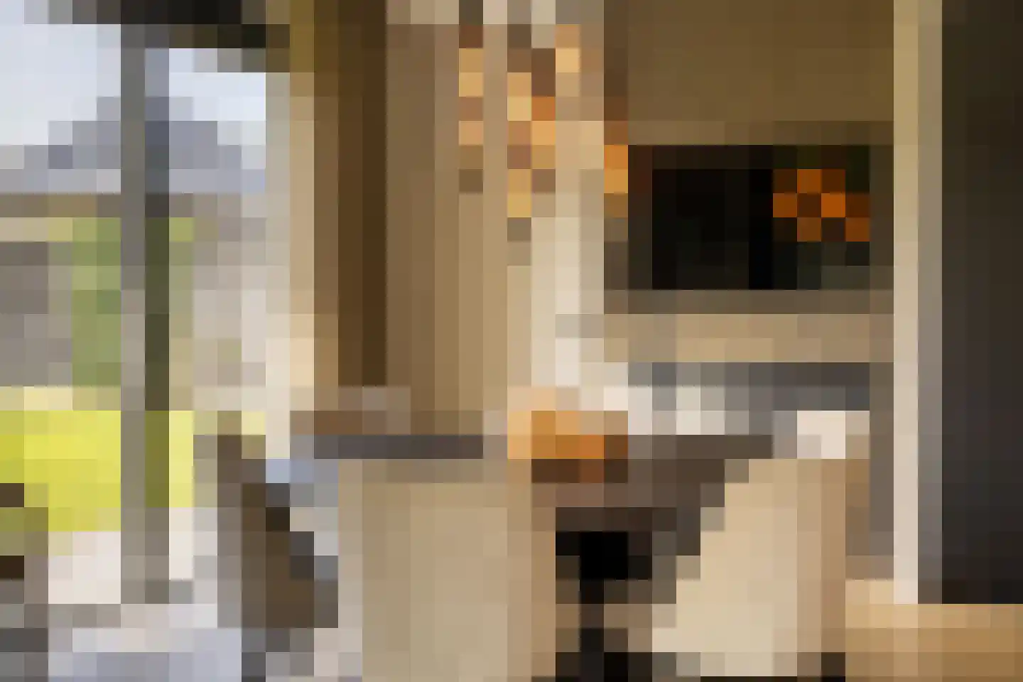 Spinozalaan 6 Almelo thumbnail 11
