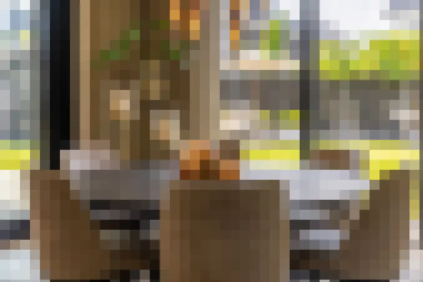 Spinozalaan 6 Almelo thumbnail 12