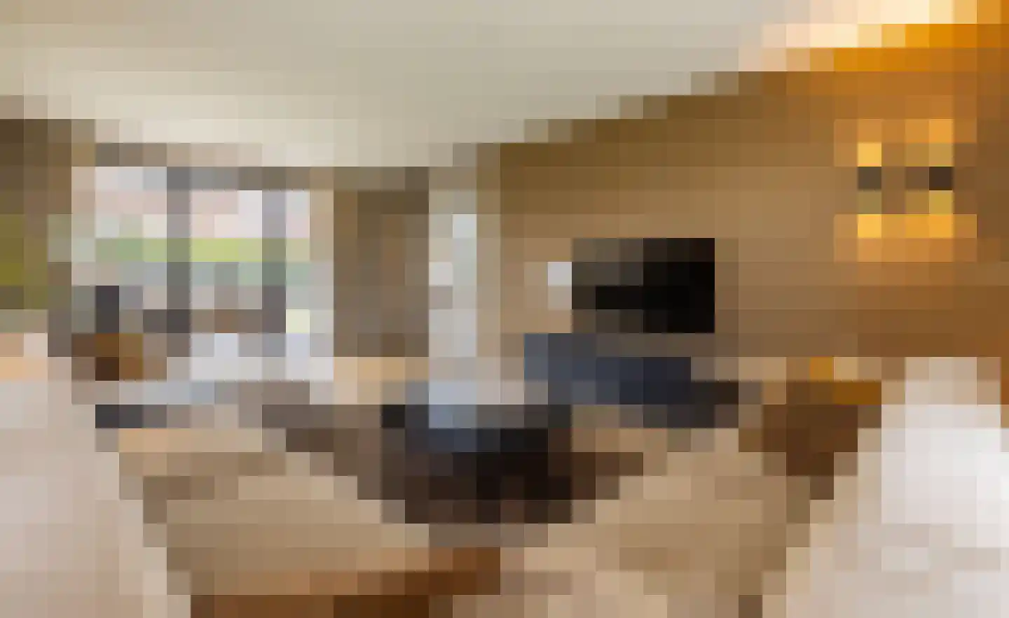 Spinozalaan 6 Almelo thumbnail 21