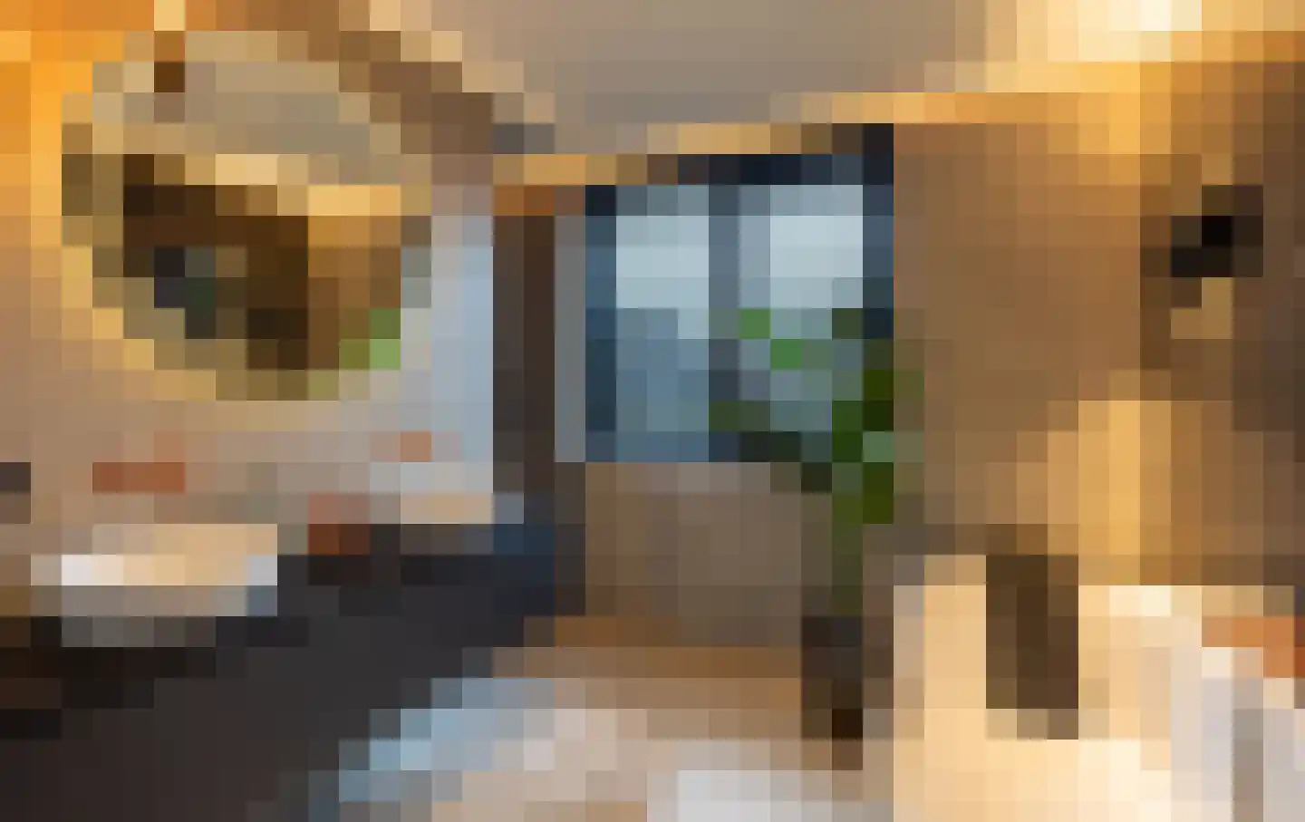 Spinozalaan 6 Almelo thumbnail 30