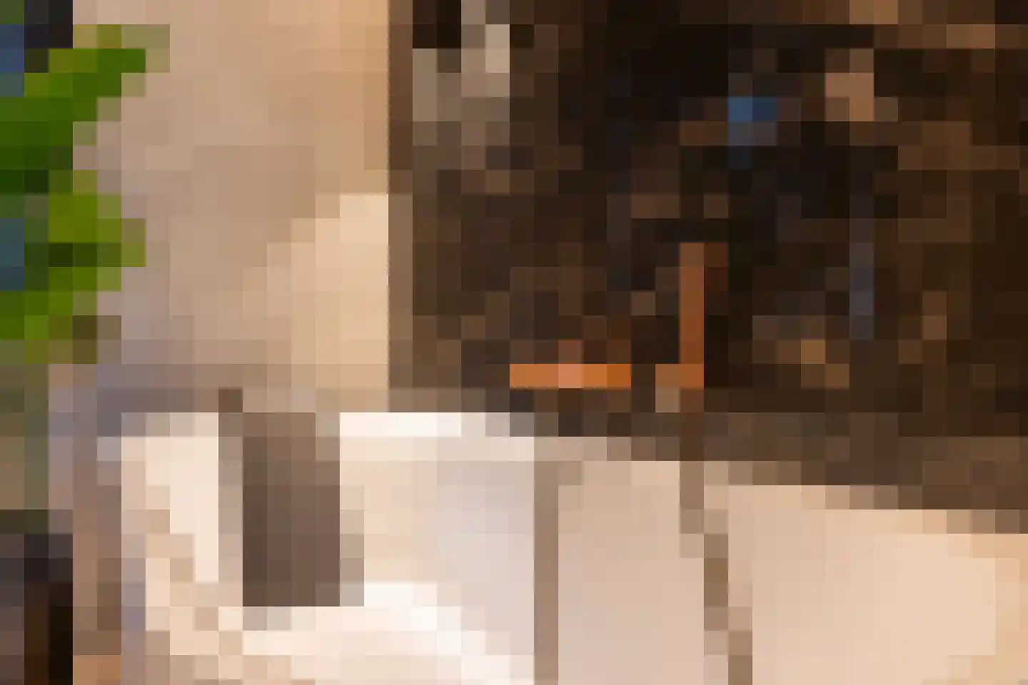 Spinozalaan 6 Almelo thumbnail 32