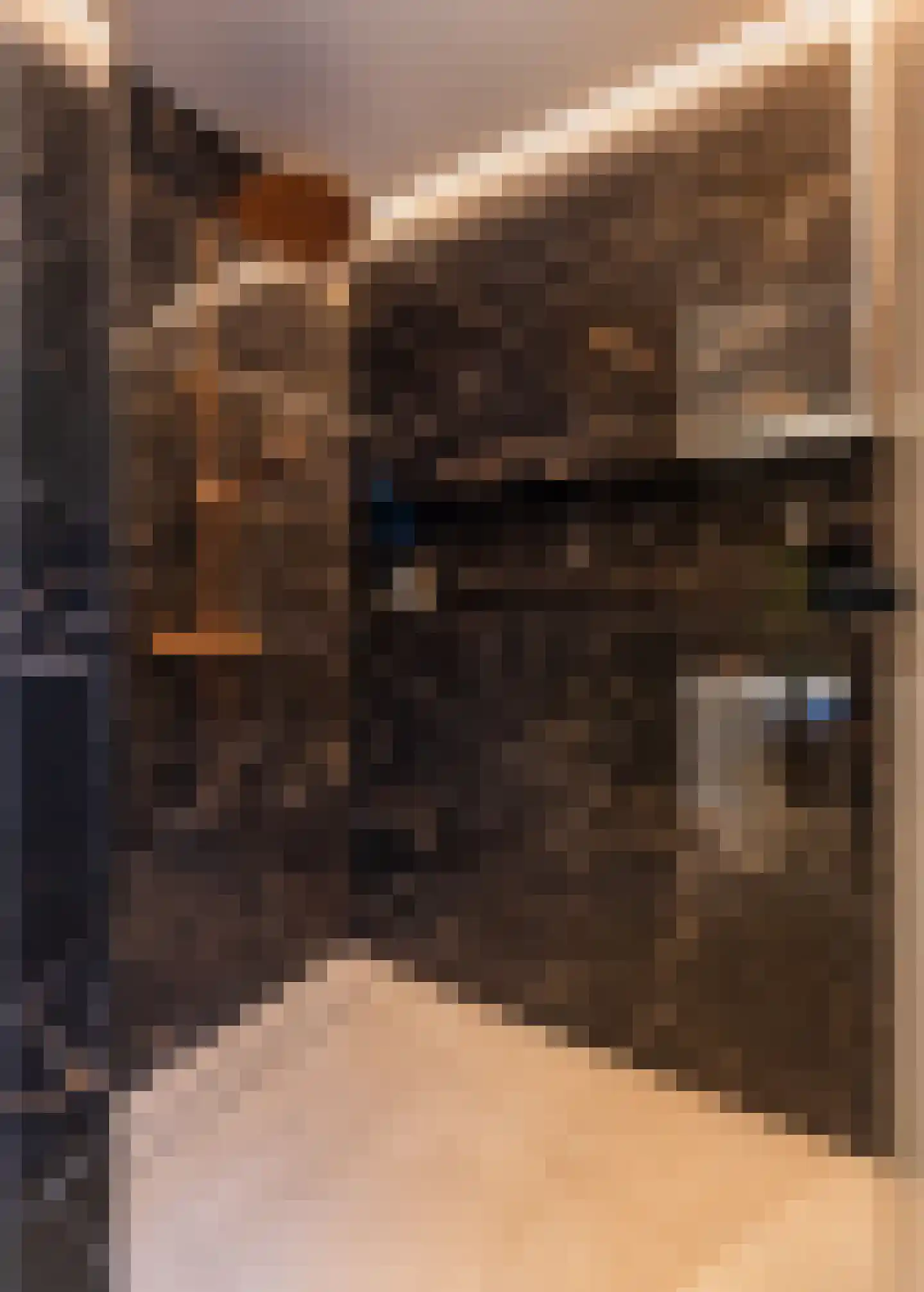 Spinozalaan 6 Almelo thumbnail 33