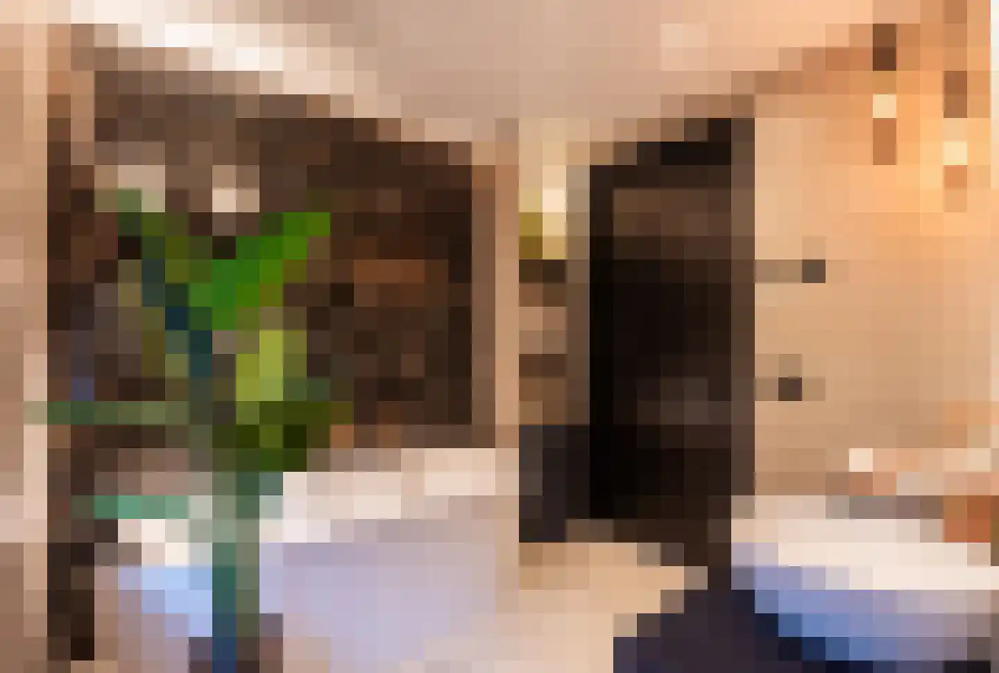 Spinozalaan 6 Almelo thumbnail 34