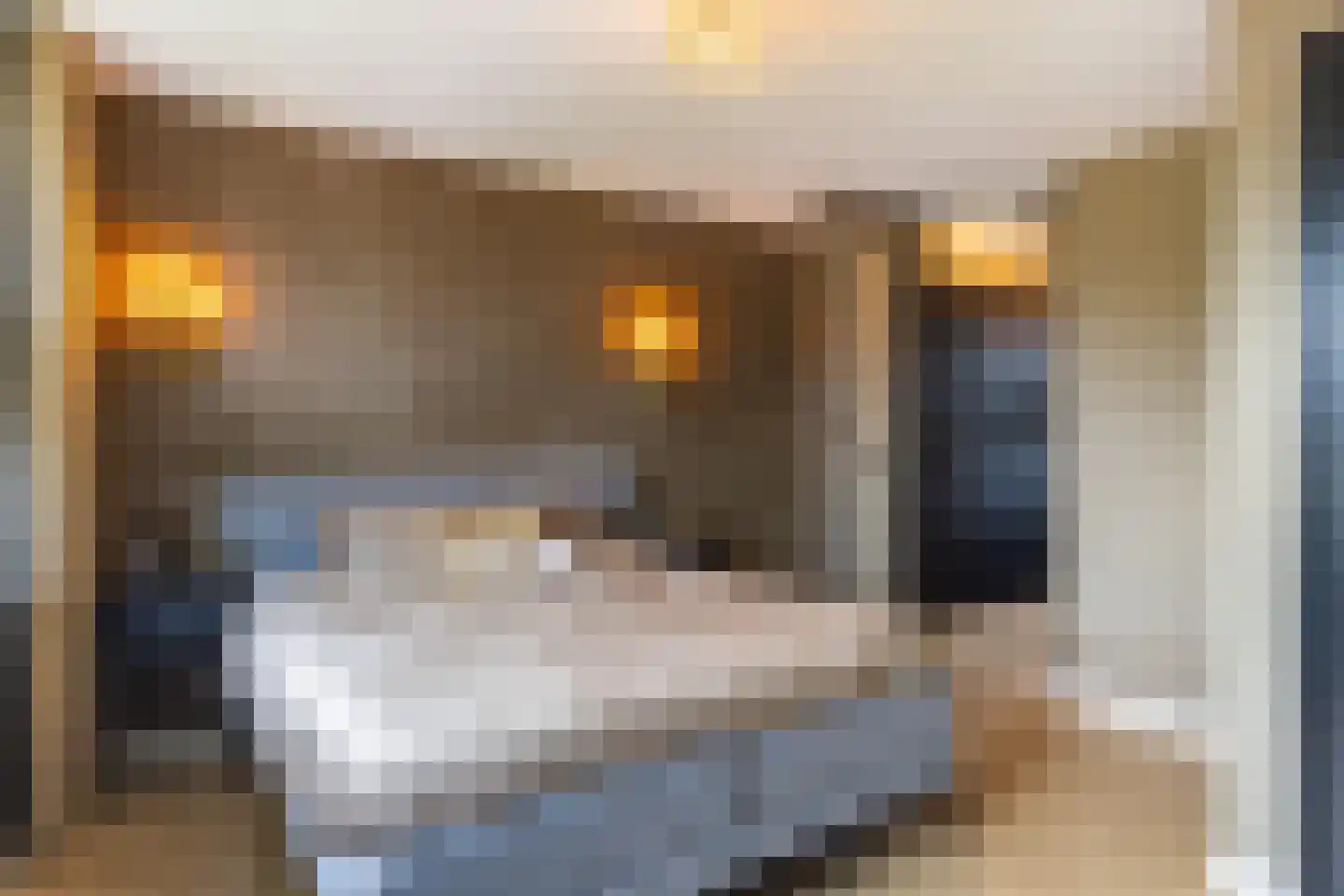 Spinozalaan 6 Almelo thumbnail 36