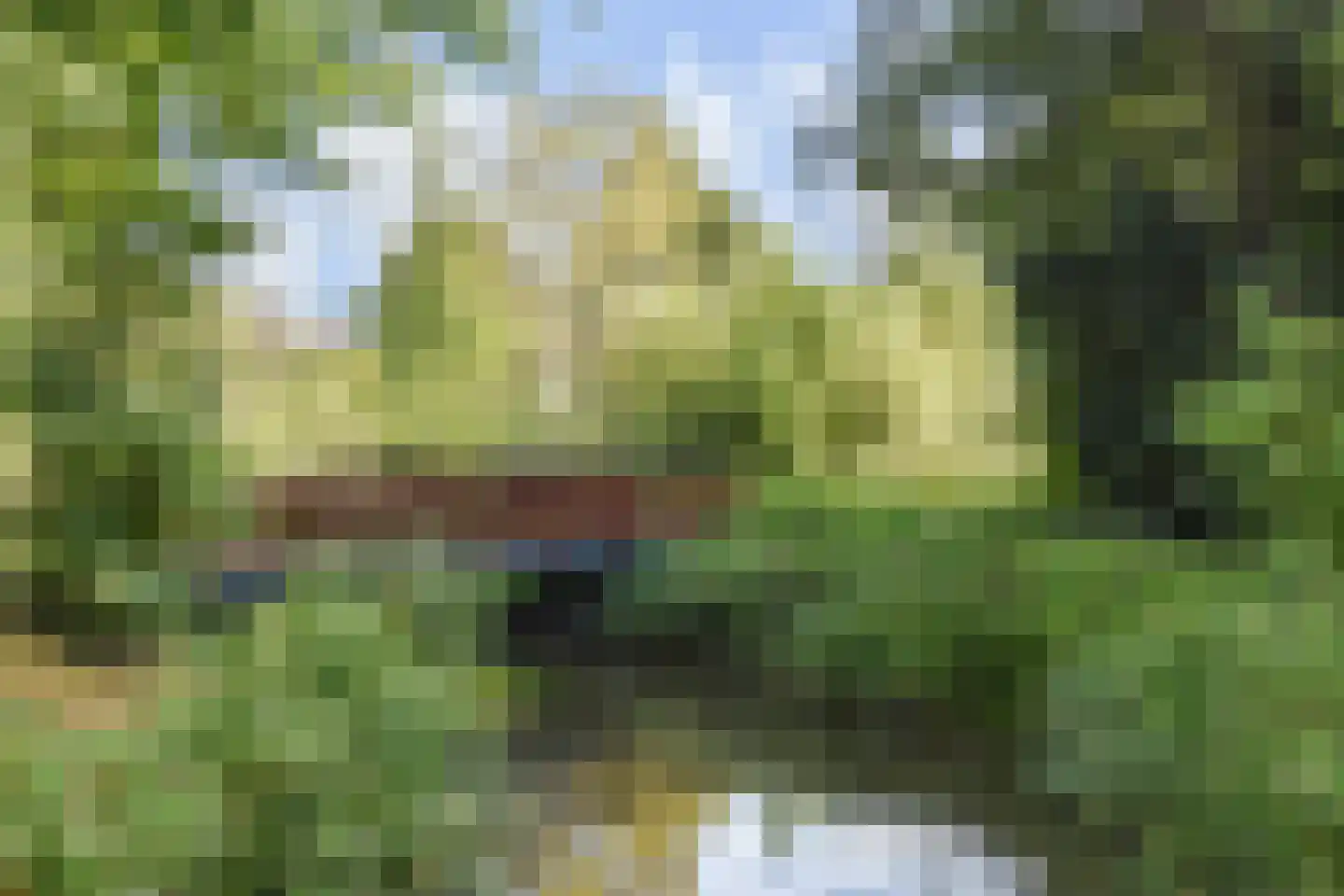 Spinozalaan 71 Voorburg thumbnail 31