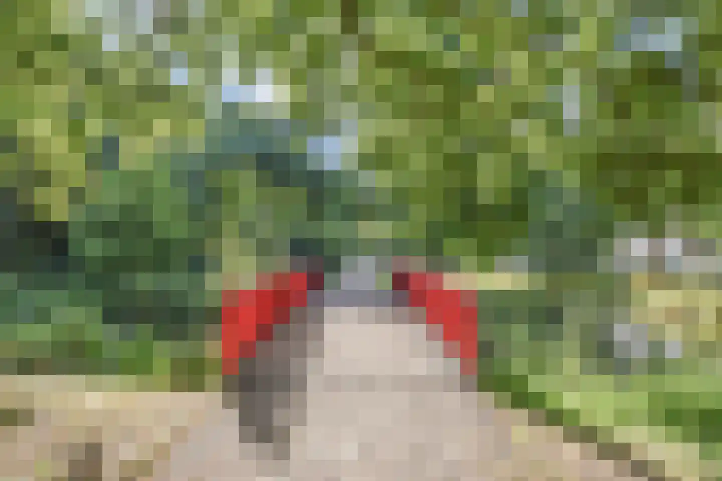 Spinozalaan 71 Voorburg thumbnail 32