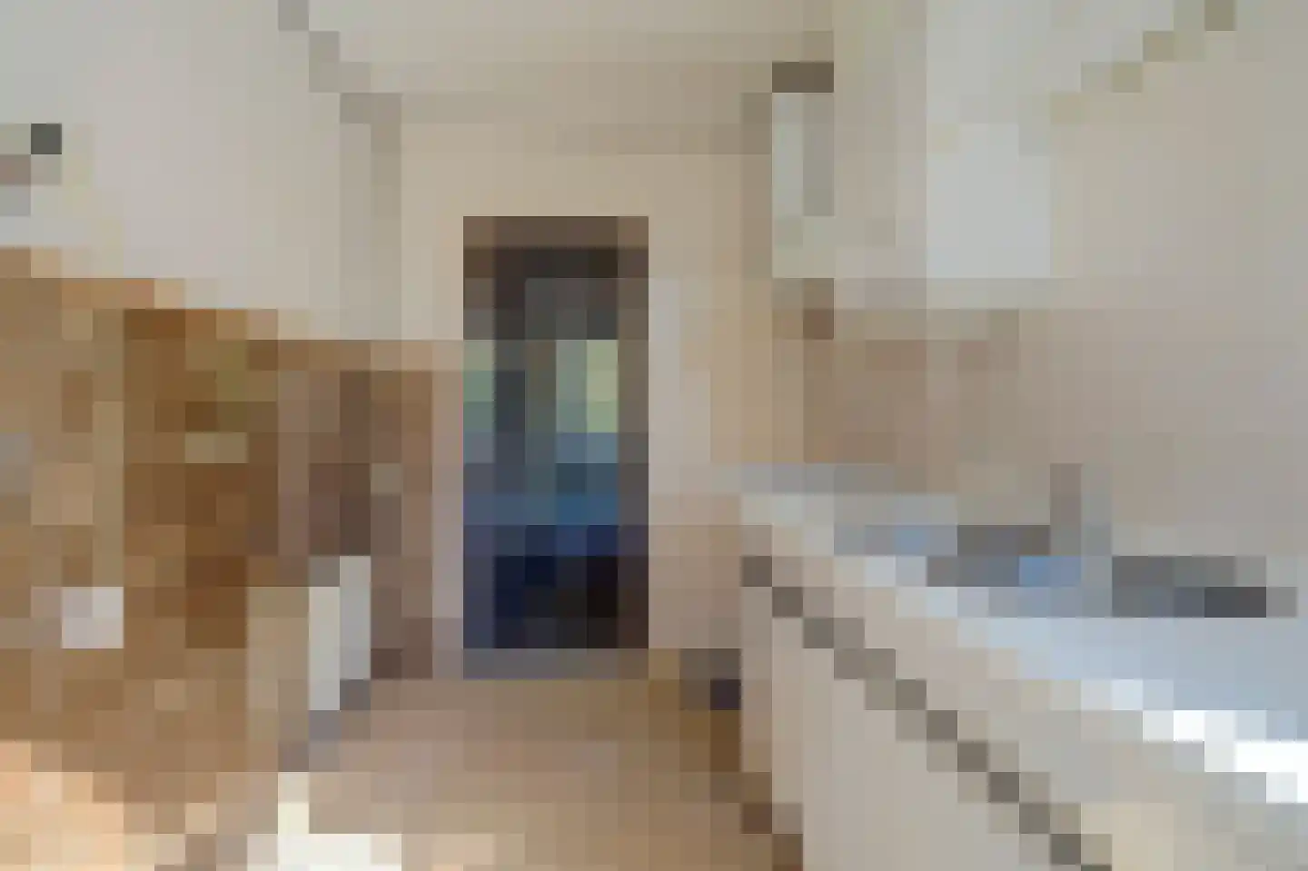 Spinozalaan 73 Voorburg thumbnail 22