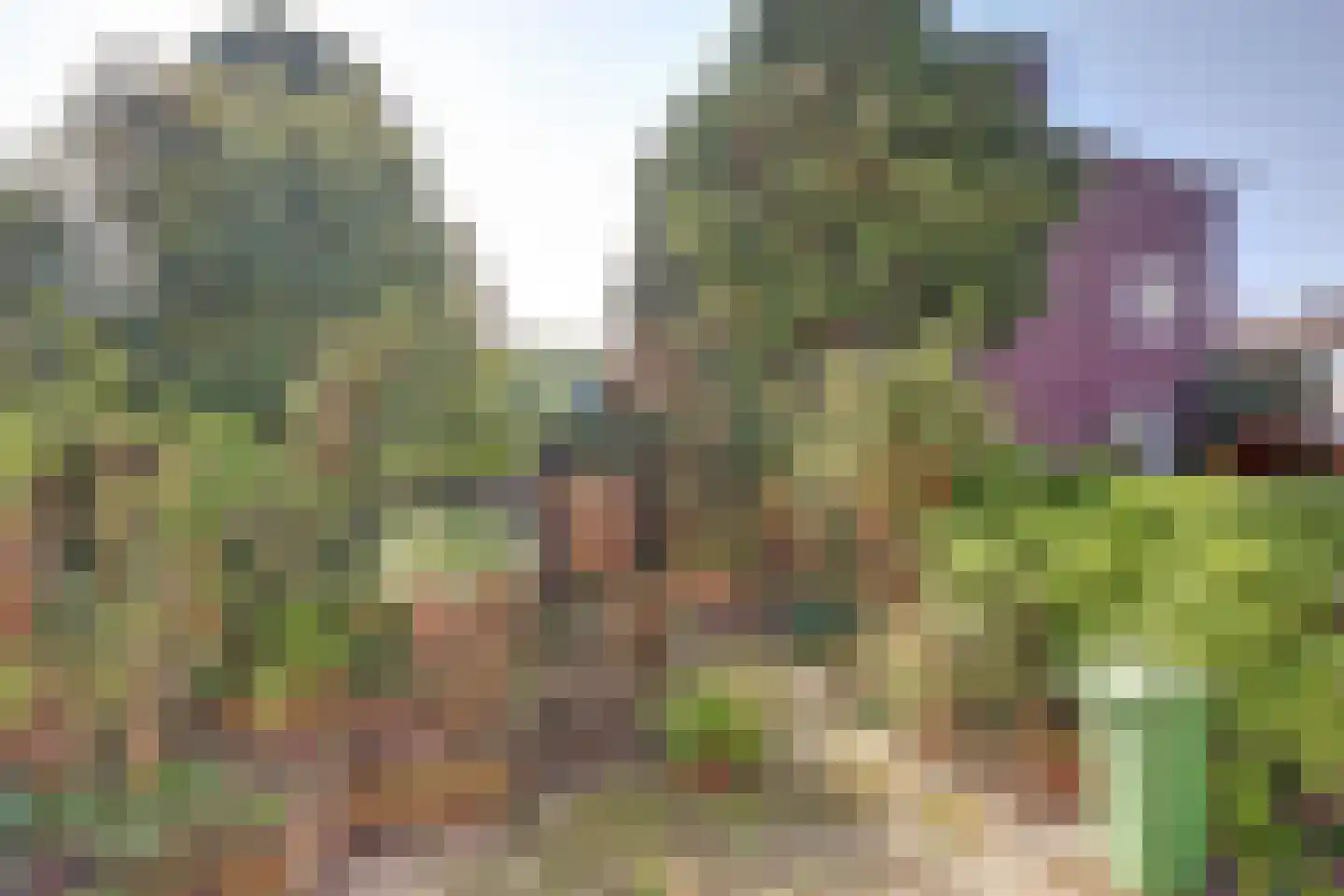 Spinozalaan 73 Voorburg thumbnail 32