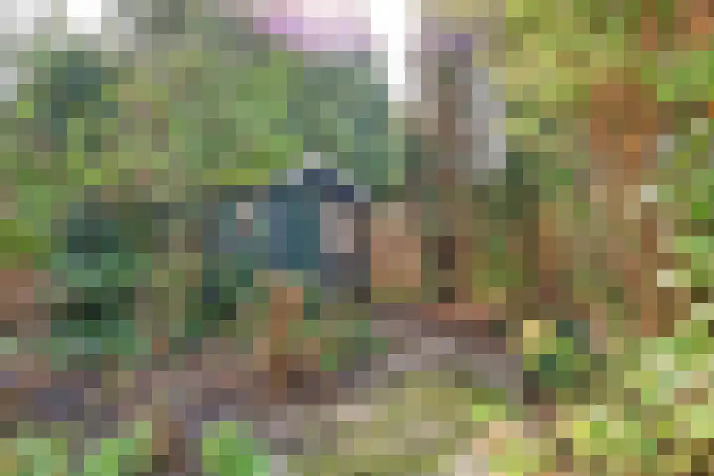 Spinozalaan 73 Voorburg thumbnail 37