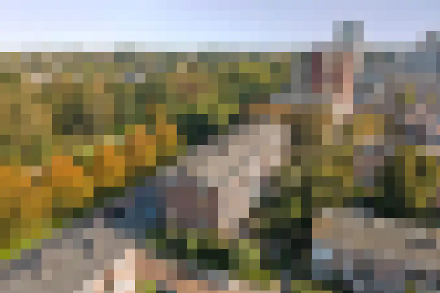 Spinozalaan 73 Voorburg thumbnail 46