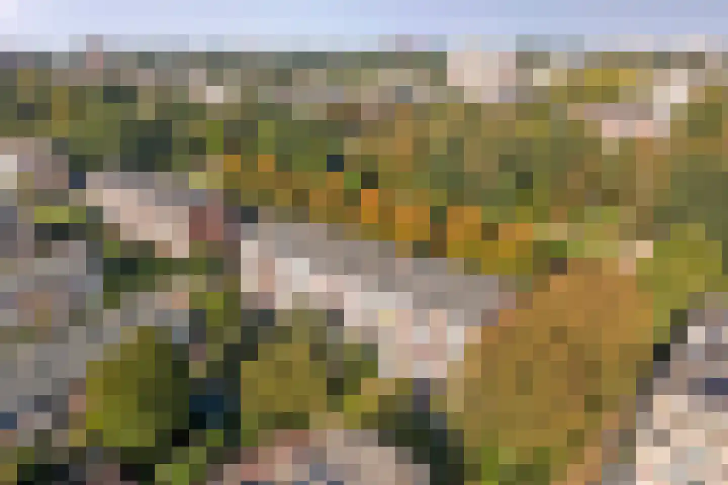 Spinozalaan 73 Voorburg thumbnail 49