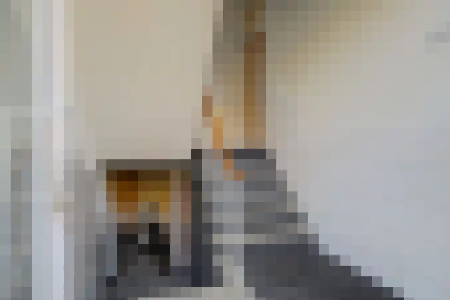 Spinozalaan 73 Voorburg thumbnail 8