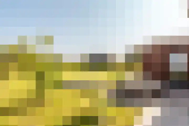 Spinozalaan 78 Almere thumbnail 24