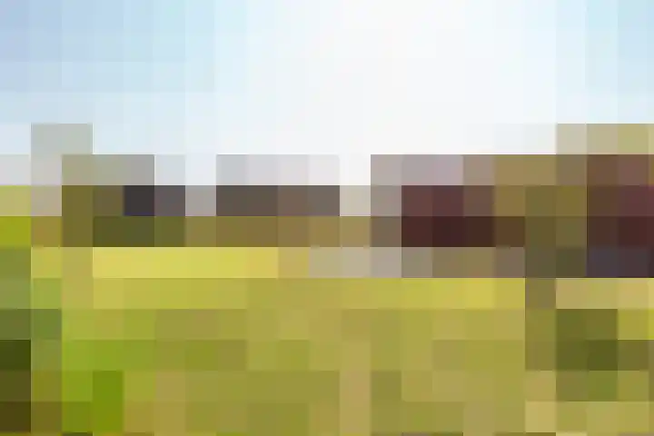 Spinozalaan 78 Almere thumbnail 25