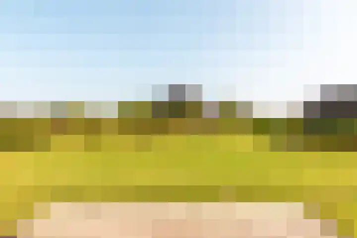 Spinozalaan 78 Almere thumbnail 26