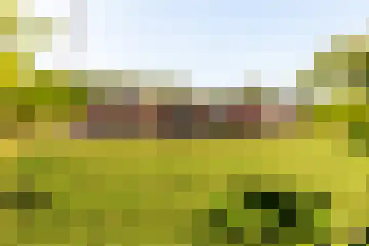 Spinozalaan 78 Almere thumbnail 33