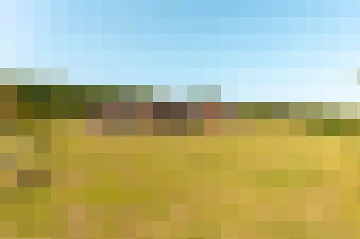 Spinozalaan 78 Almere thumbnail 34