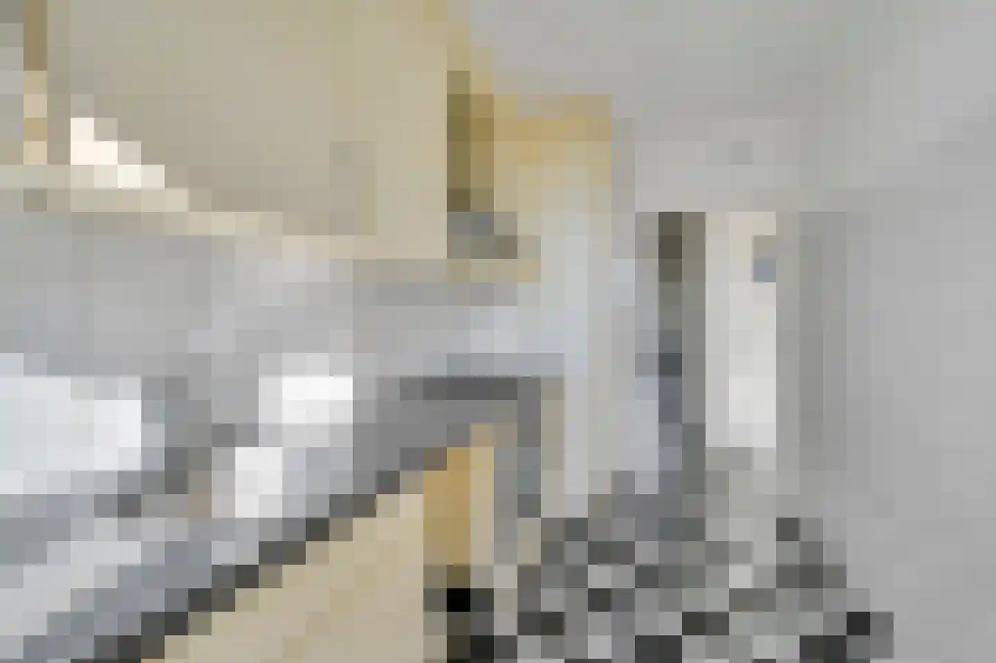 Spinozalaan 83 Voorburg thumbnail 20
