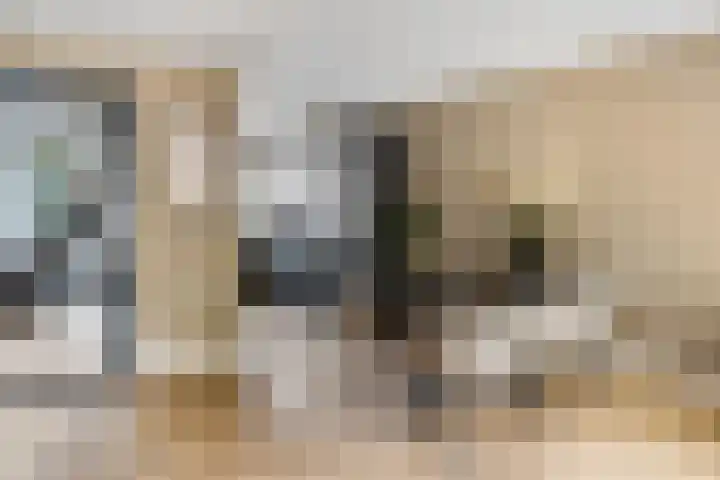 Spinozastate 43 Ede thumbnail 10