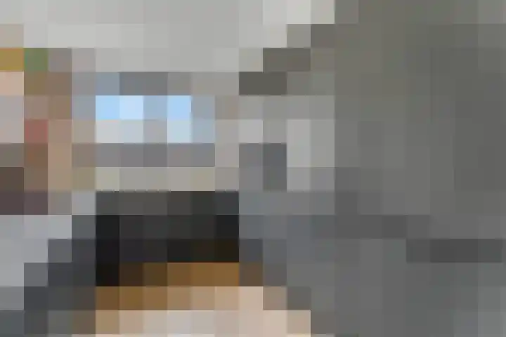 Spinozastate 43 Ede thumbnail 12