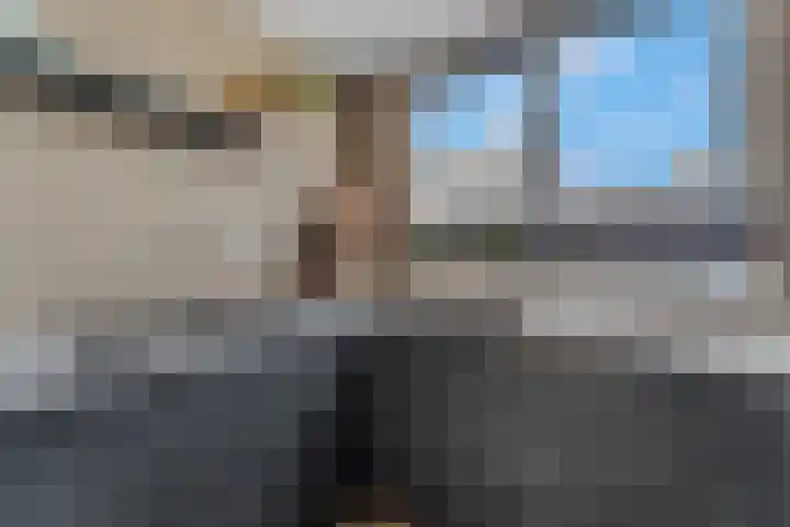 Spinozastate 43 Ede thumbnail 13