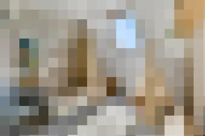 Spinozastate 43 Ede thumbnail 20