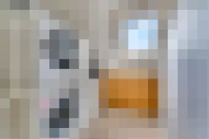 Spinozastate 43 Ede thumbnail 24