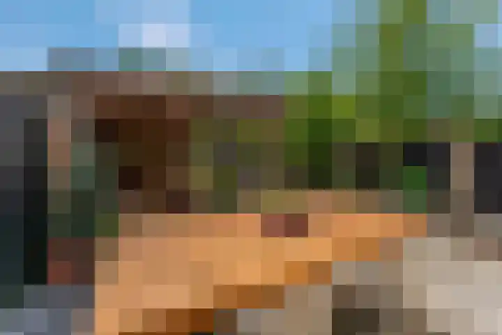 Spinozastate 43 Ede thumbnail 28